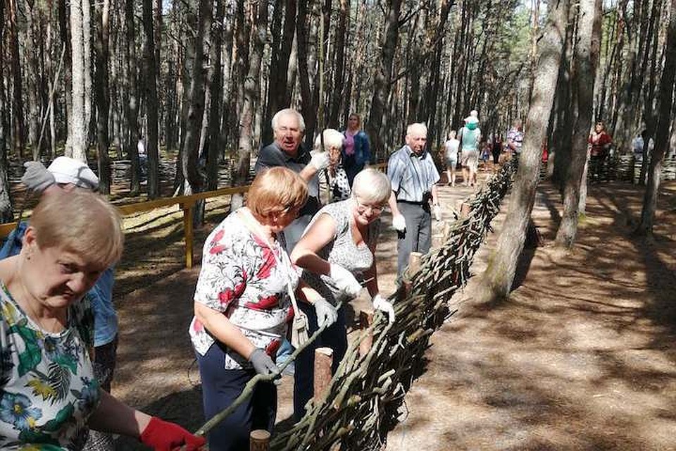 На призыв спасти Танцующий лес откликнулось множество желающих