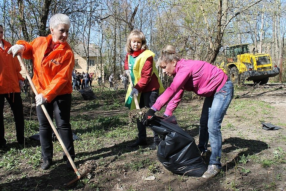Убрать планируют территорию Зеленого острова.