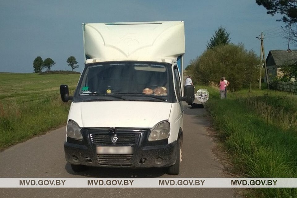 Водитель ехал задним ходом и не заметил пешехода на дороге. Фото: МВД.