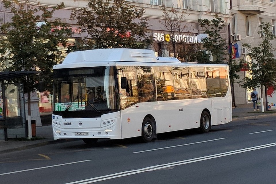 Работа общественного транспорта изменится с 13 по 15 сентября. Фото: vk "Ростовский Городской Транспорт" Павел Баринов