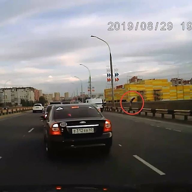 Фото: СУ СК РФ по Псковской области.