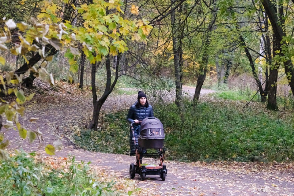 В Ярославле похолодает.