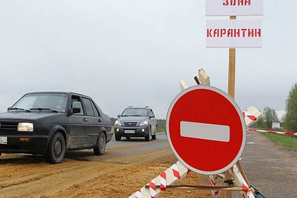 Карантин по бешенству ввели в Лениногорском районе республики