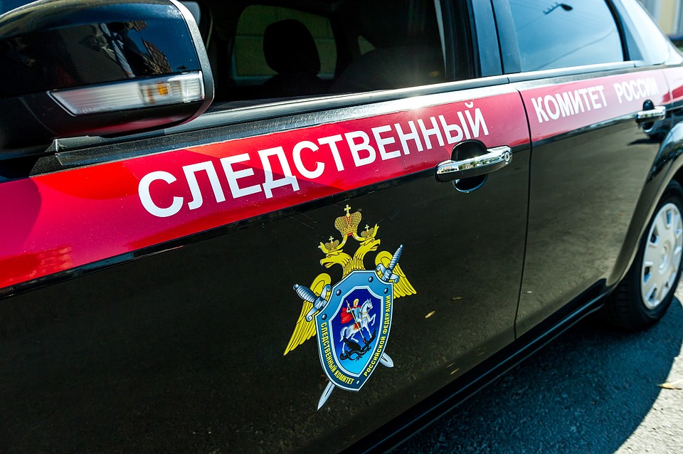 Следствием возбуждены 2 уголовных дела в отношение директора и учредителя ПАО «Мурманское морское пароходства»