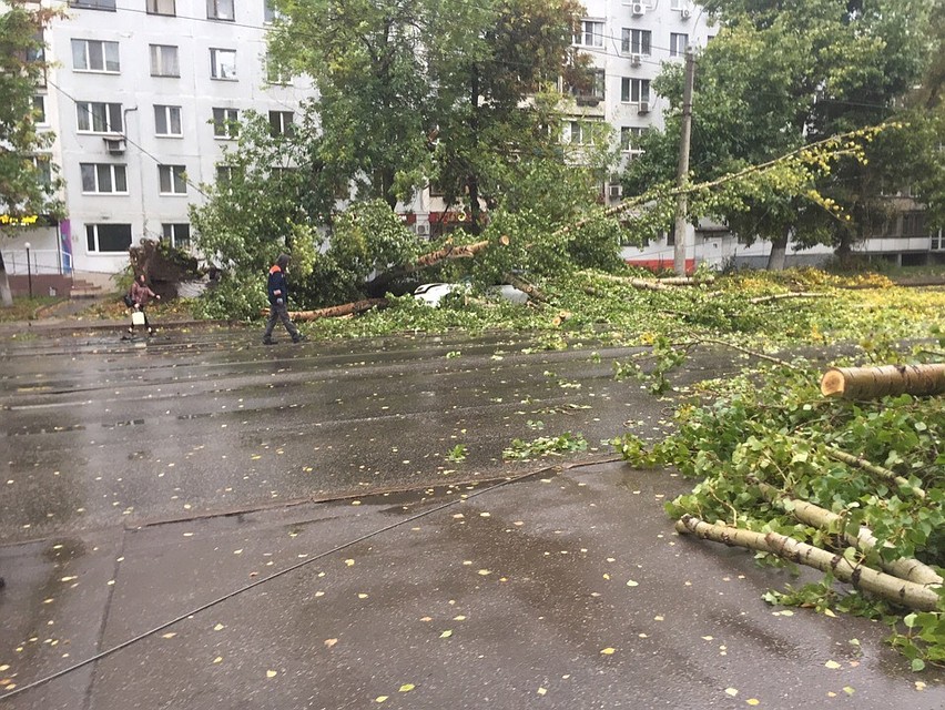 Ураган в Самаре оборвал ЛЭП, повалил деревья на машины и дороги и оставил без света и газа людей
