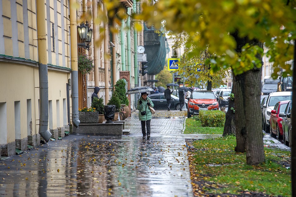 В Петербург окончательно пришла осень.