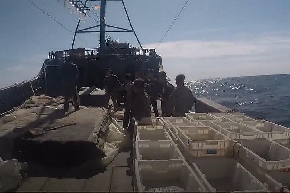 Почти за две недели приморские пограничники задержали порядка 500 браконьеров из Северной Кореи