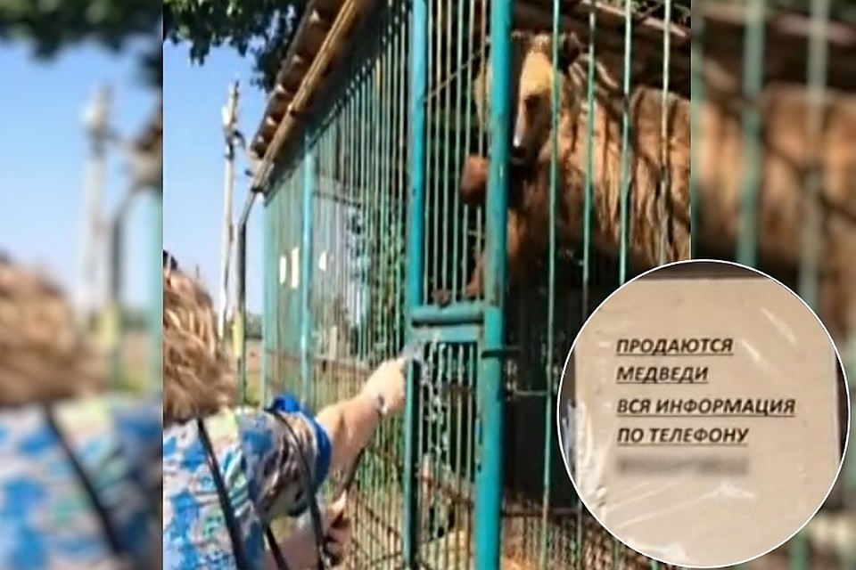История началась в июне 2019 года