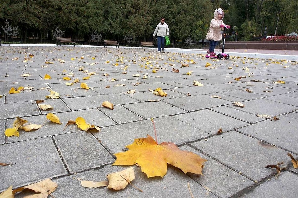 Фото: Алексей ФОКИН