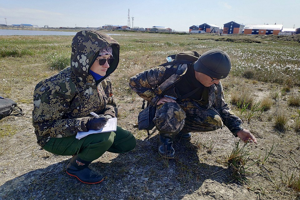 Ямальские ученые проведи десять экоэкспедиций во время полевого сезона Фото: yanao.ru