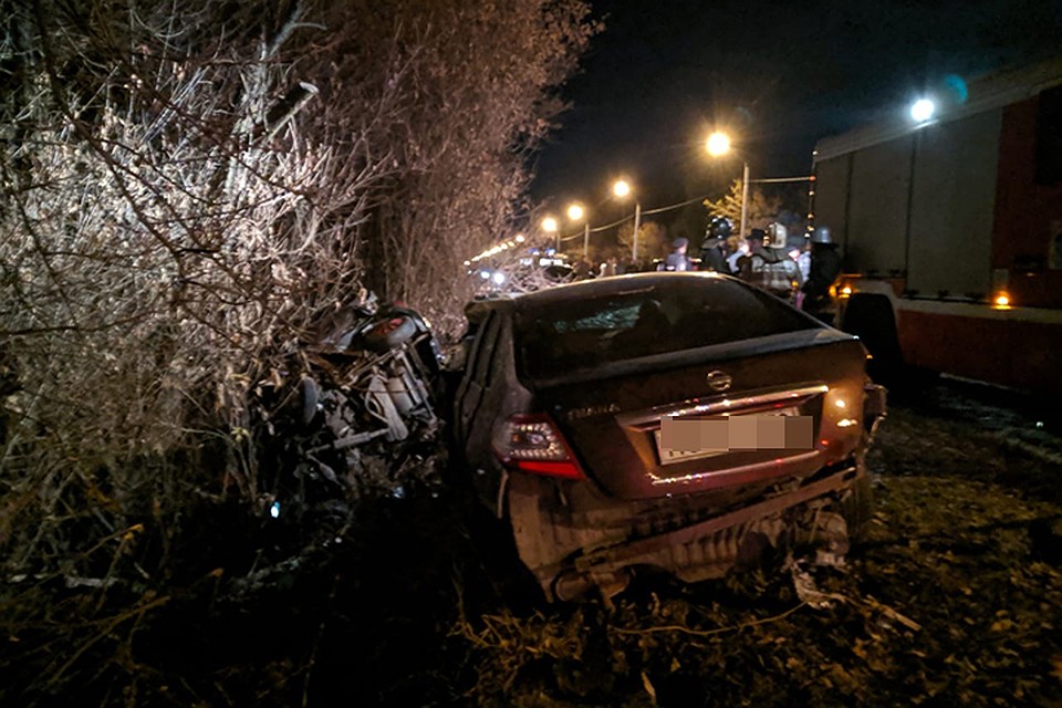 Фото: "Типичный Брянск".