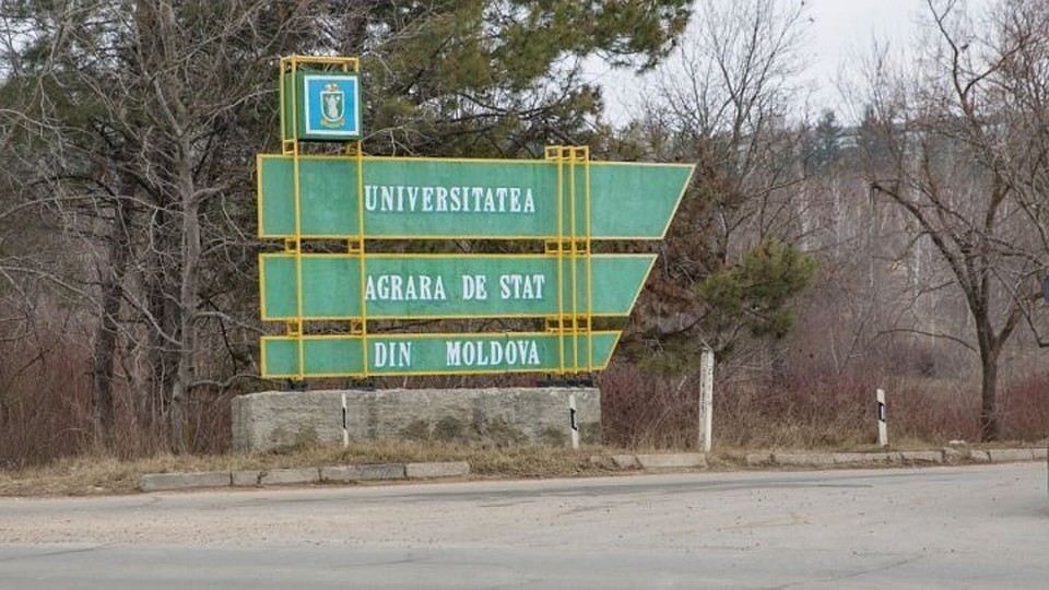 Сотрудникам Аграрного университета Молдовы задержали на две недели зарплату, а теперь им грозит массовое увольнение