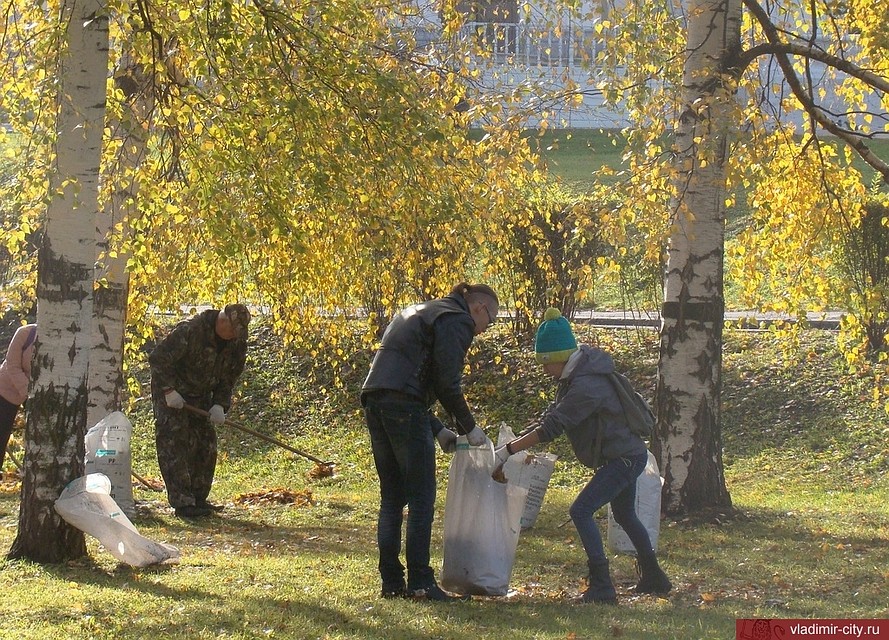 vladimir-city.ru