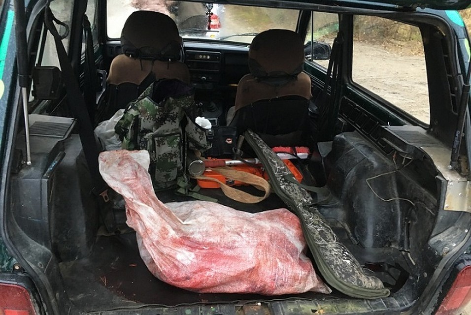 Югорчанина задержали за лосятину в багажнике. Фото с сайта УМВД по ХМАО-Югре