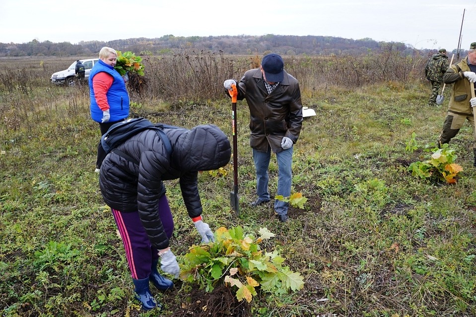 Фото: пресс-служба Губернатора Орловской области