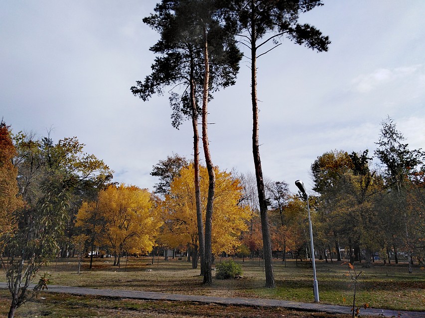 Сколько продержится бабье лето в Белгородском регионе.