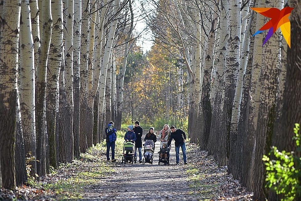 Фото? Архив "КП".