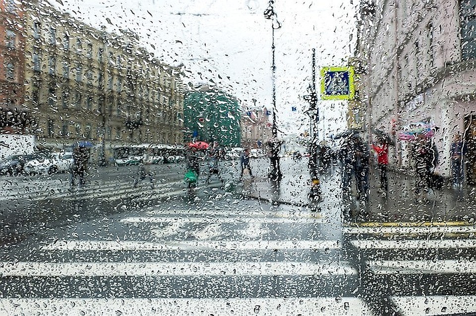 Ноябрь в Петербурге может порадовать теплой погодой