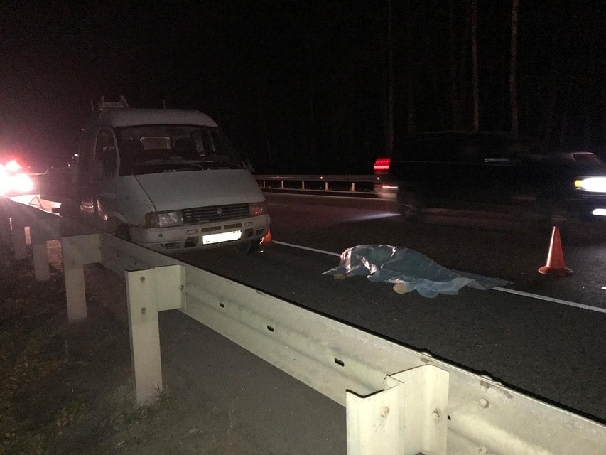 Под Орлом парня, заправлявшего машину, насмерть сбил неизвестный. Фото: УГИБДД УМВД России