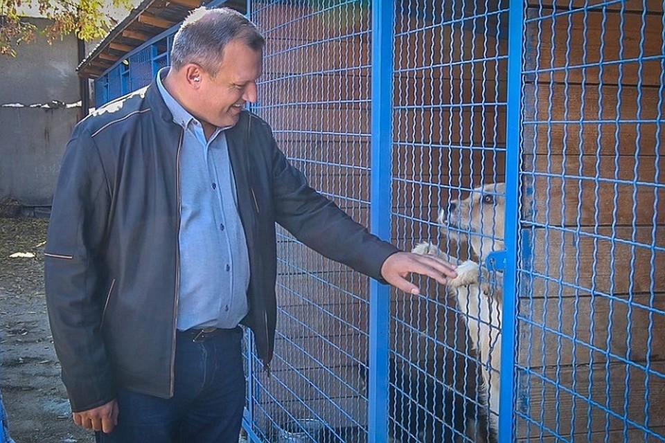 Мэр Донецка Алексей Кулемзин посетил приют для животных. Фото: донецкая горадминистрация