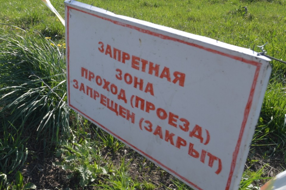 Власти кузбасского города наказали за содержание скотомогильников