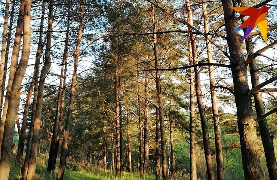 Наслаждаться бабьим летом осталось недолго.