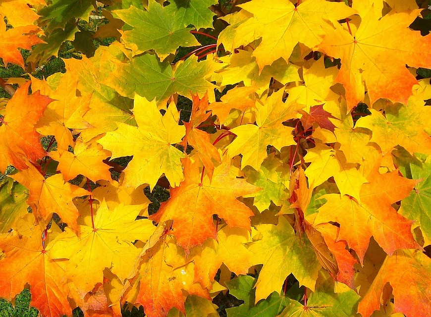 "КП" подводит итоги дня. Фото - pixabay.com.