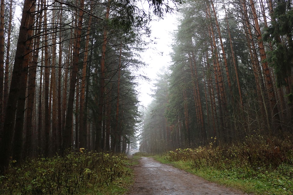 Фото: Д. Кузнецова