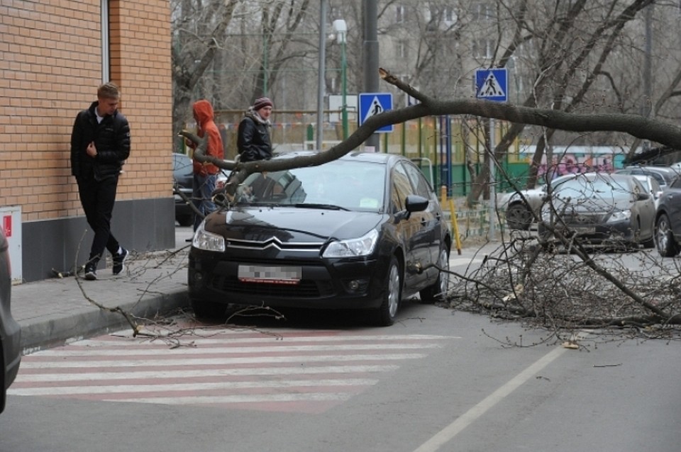 Штормовой ветер пришел в Кузбасс