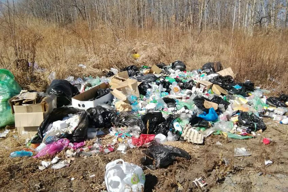Драгоценную почву в Хабаровском крае освободили от мусора