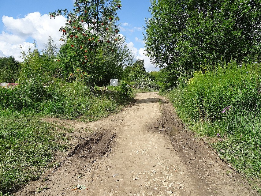 Дорожка в парке у ДТЮ