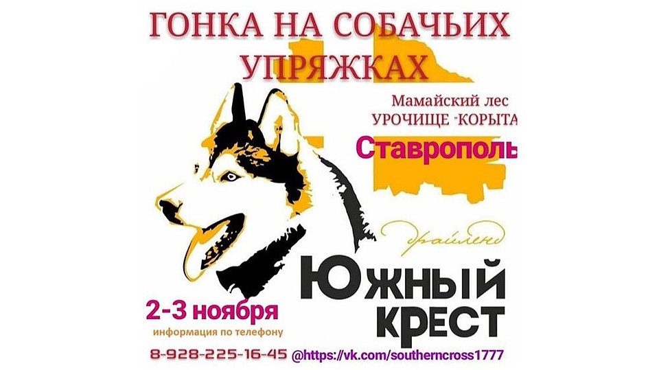 Фото: пресс-служба администрации Ставрополя