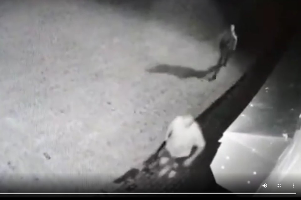 Нападение на дом бывшего мэра Киселевска Сергея Лаврентьева попало на видео.ФОТО: кадр видео/ vk.com