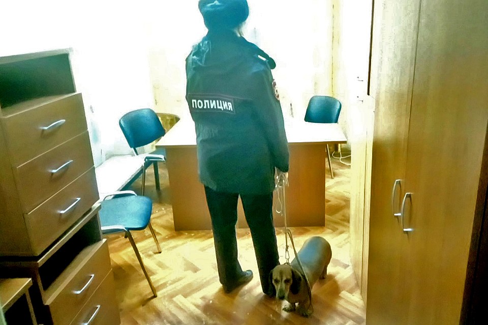 Бедное животное было на поводке и несколько часов не могло сдвинуться с места