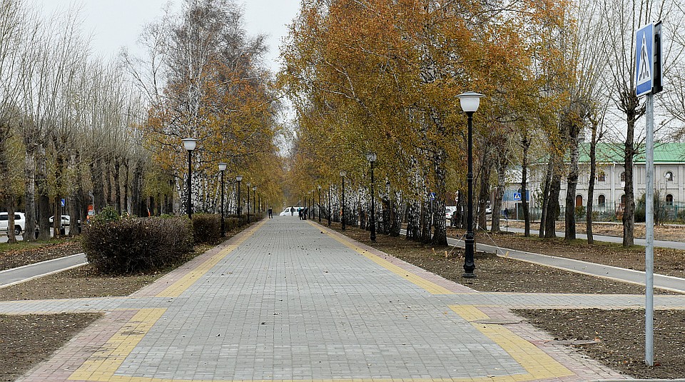 Победитель прошлогоднего голосования - аллея на Георгия Исакова
