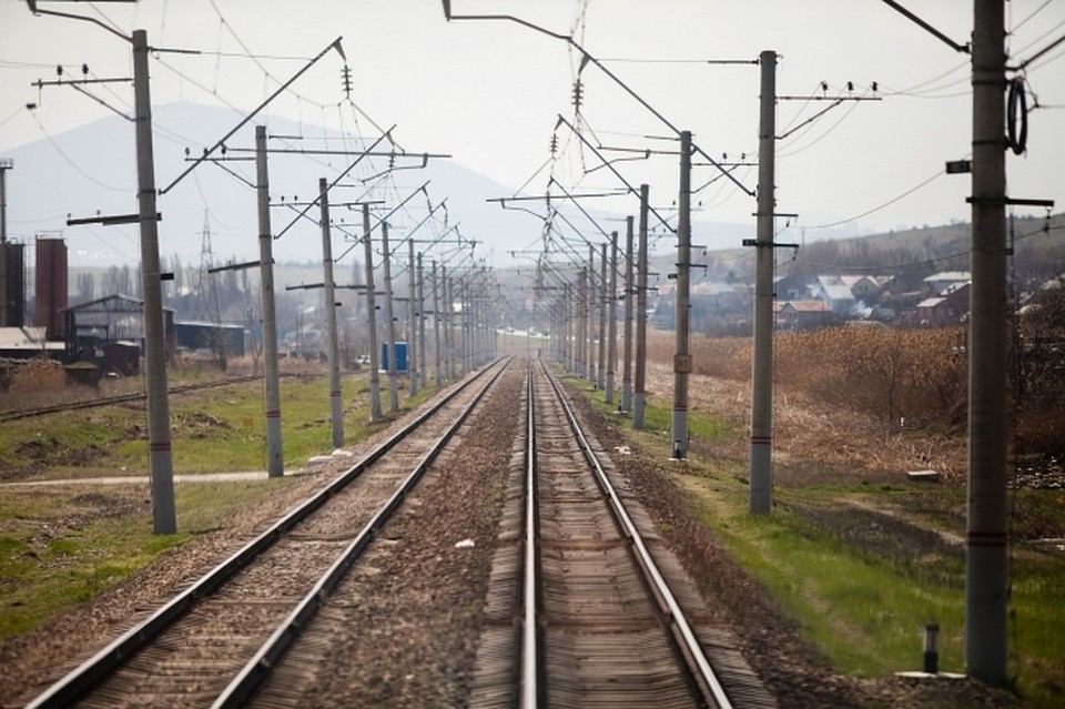 Железнодорожники в Хабаровске ответили за небезопасность птиц и поездов