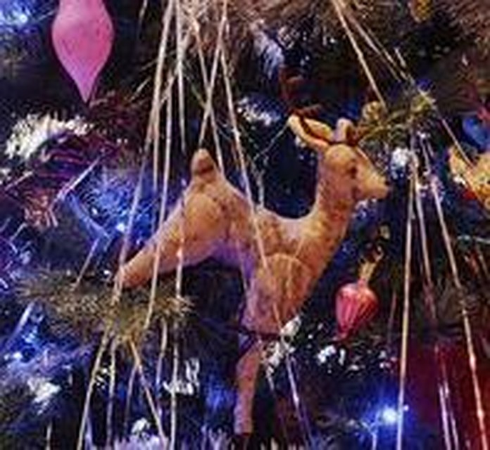 фото с сайта Воронежского заповедника
