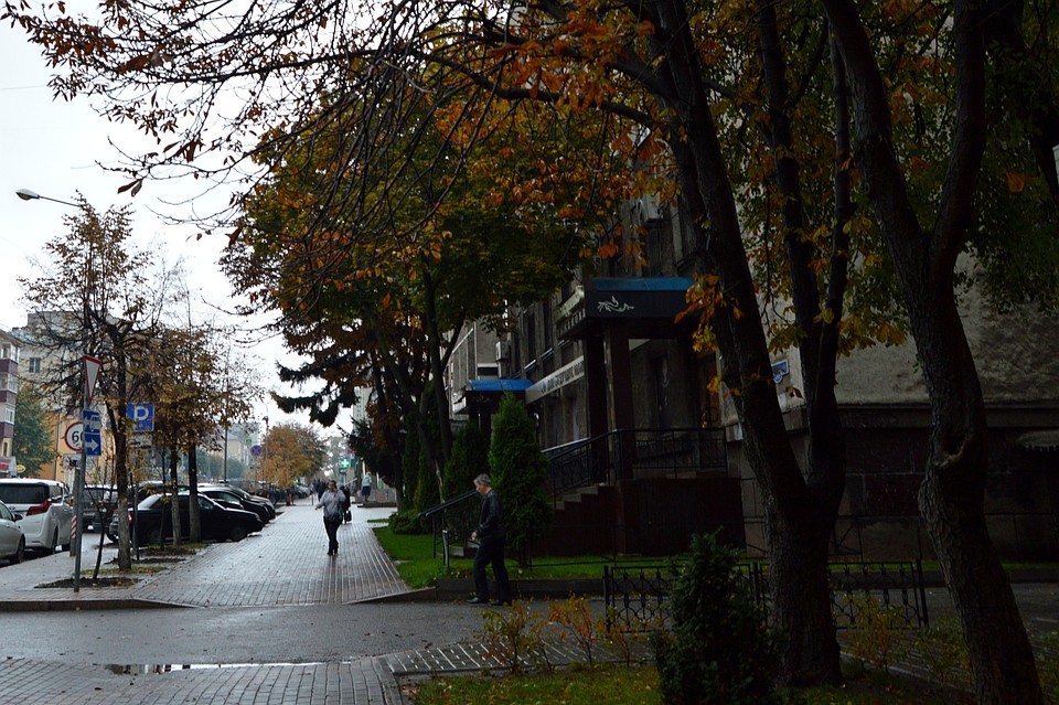 В Липецке поднимется ветер