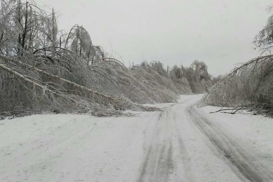 По прогнозам синоптиков, завтра в Кирове пройдет ледяной дождь. Фото: vk.com/meteokirov