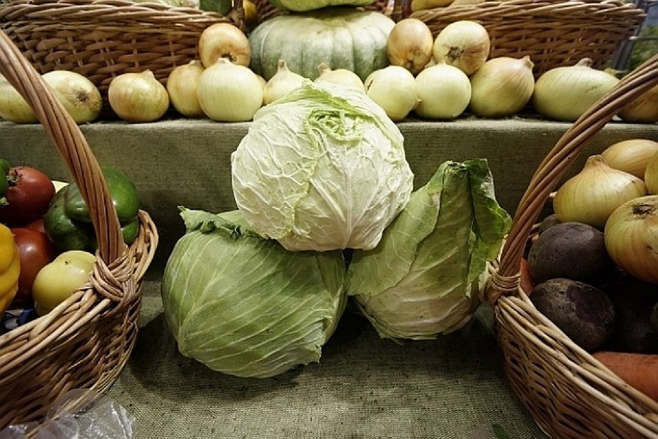 Беларусь в этом году начала продавать сельхозпродукты в Афганистан, Бенин и Кению