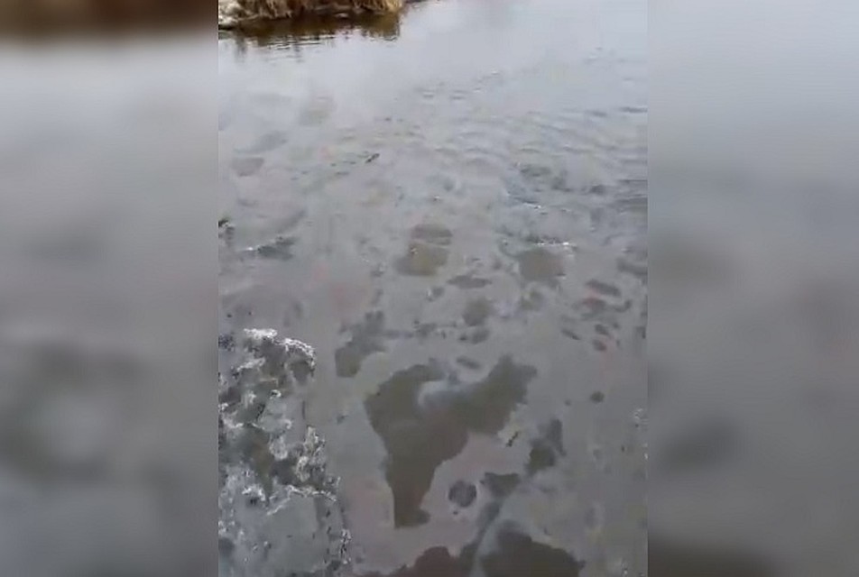 Фото: скриншот с видео