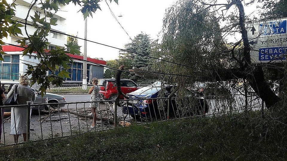 Фото: Анастасия КУРДЮКОВА
