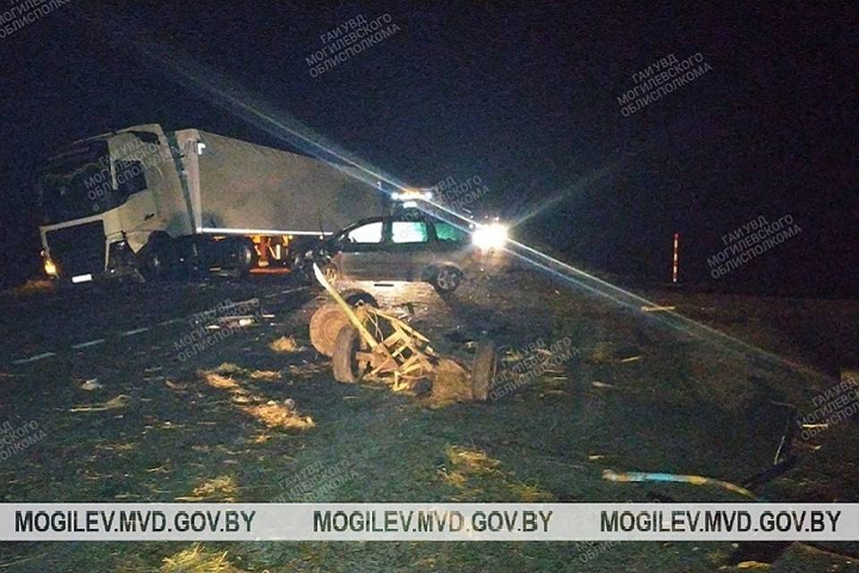 После столкновения с машиной от повозки мало что осталось. Фото: УВД Могилевского облисполкома.