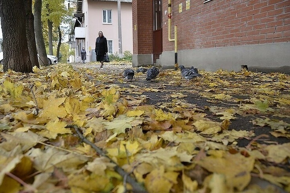 Начало недели в Краснодарском крае будет ветреным и без осадков