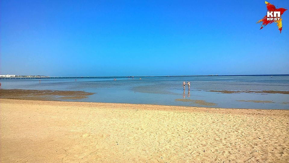 В Египте на рифах водится рыба крылатка, которая опасна своими ядовитыми шипами. Фото: Геннадий МОЖЕЙКО
