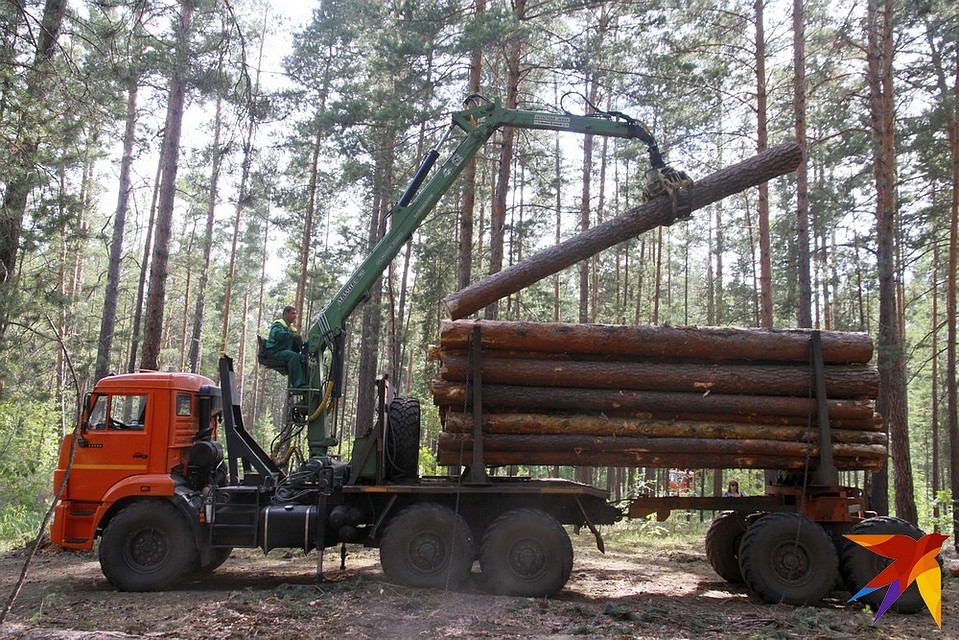 Всего с начала 2019 года из Рязанской области на экспорт ушло 2,289 тыс кубометров пиломатериалов.