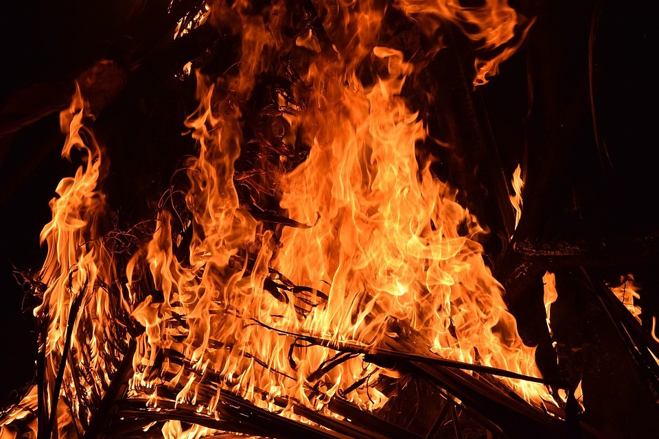 Фото: pixabay.com
