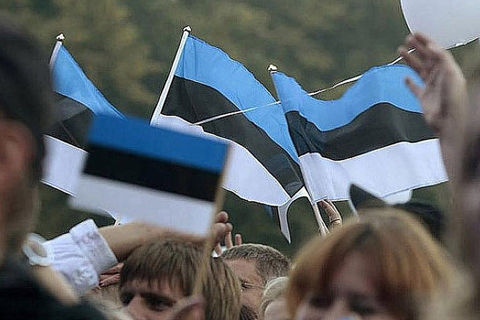 Крысы перегрызли кабель: Эстония осталась без интернета