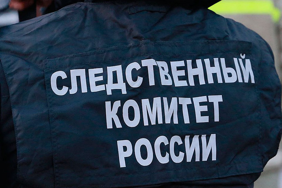 Женщины могут лишиться свободы на 12 лет.