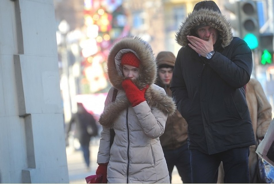Фото: Евгения ГУСЕВА.